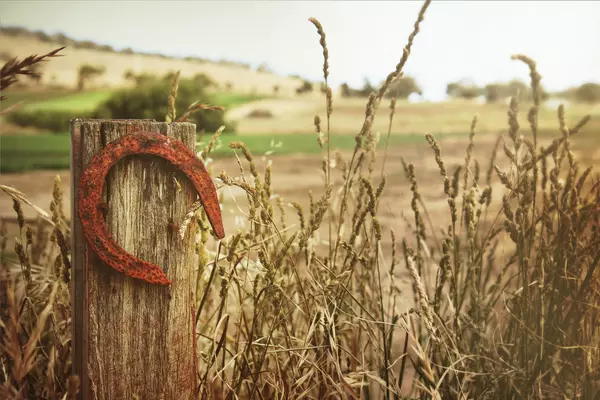 le fer à cheval porte chance